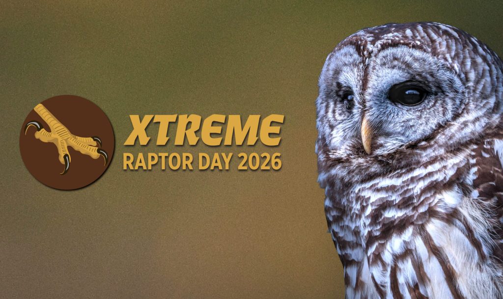 Xtreme Raptor Day 2026